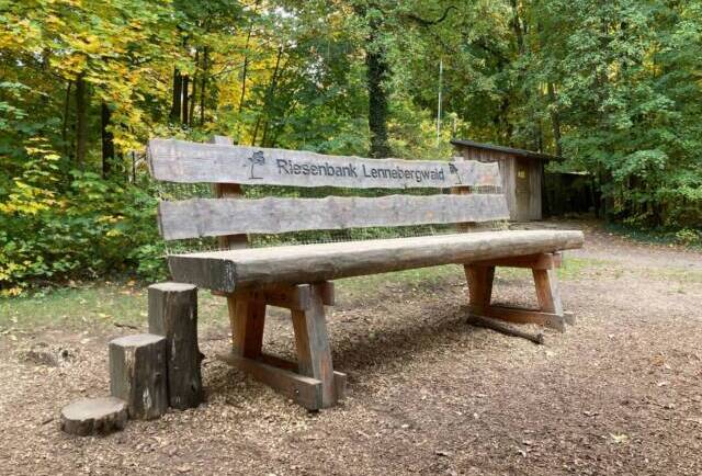 unterwegs sein am 02.11.2025 Lennebergwald