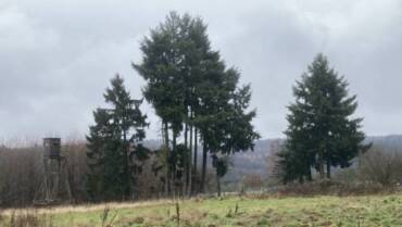 unterwegs sein am 04.01.2026 Rundwanderung Goldstein- und Sichtertal