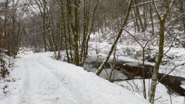 unterwegs sein am 01.02.2026 Rundtour ‚Rauenthaler Spange‘