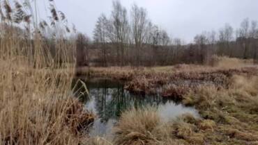 unterwegs sein am 01.03.2026 Welzbachtal in Rheinhessen